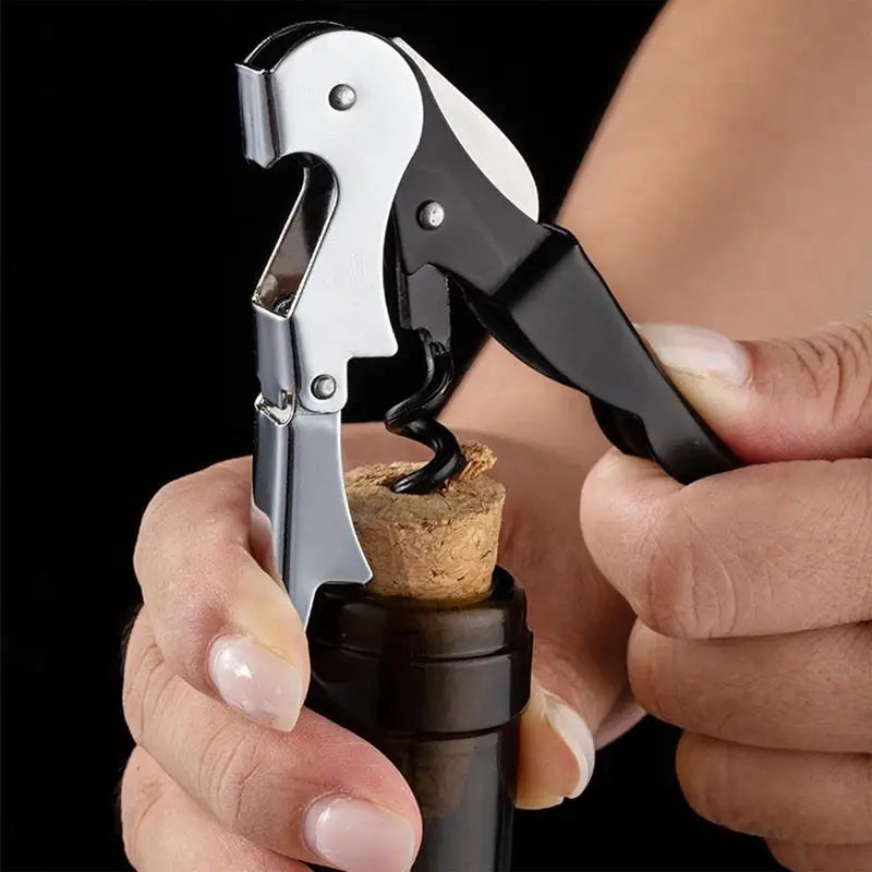 Stainless Steel Wine Bottle Chiller Rods Set With Opener